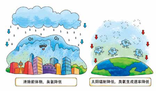 臭氧知識科普（4） | 環(huán)境空氣臭氧會通過哪些方式從空氣中消除呢？降水、植樹可以嗎？