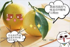 去除甲醛的方法多種多樣，哪種最實(shí)用靠譜